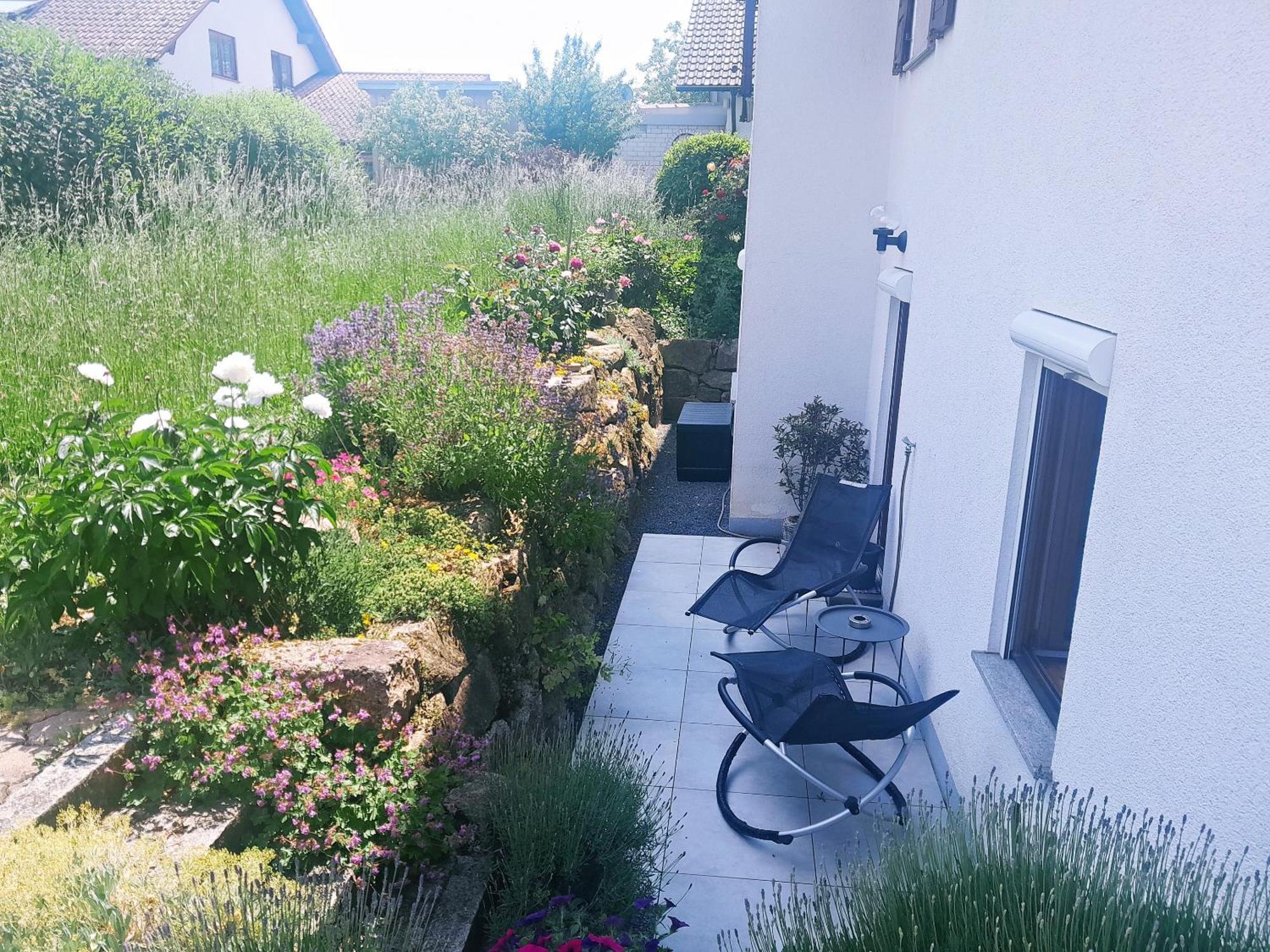 Ferienwohnung Bluetenzauber In Idyllischer Lage Naehe Bodensee Hilzingen Exterior photo